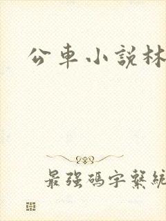 公车小说林蔓蔓封面