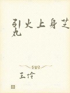 引火上身芝麻糖丸封面