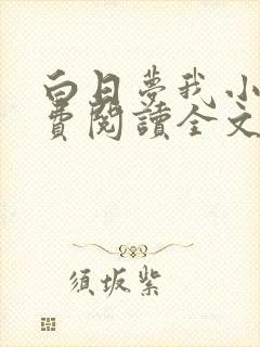 白日梦我小说免费阅读全文无删减