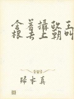 含着摄政王的紫根去上朝叫什么封面