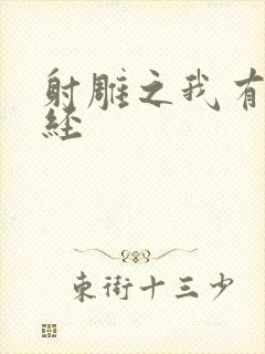 射雕之我有太玄经