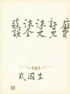 苏沫沫许庭川小说全文免费阅读封面