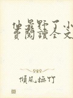 他最野了小说免费阅读全文