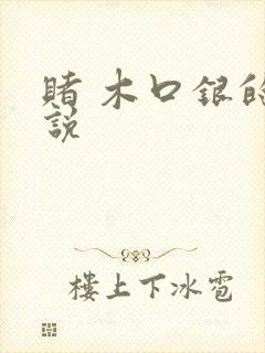 赌 木口银的小说封面