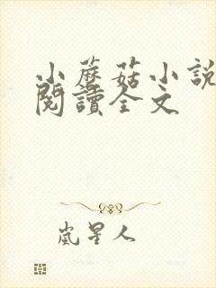 小蘑菇小说免费阅读全文