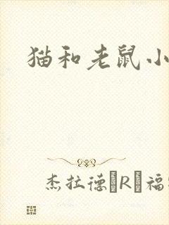 猫和老鼠小说