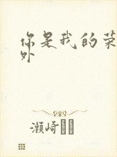 你是我的荣耀番外封面