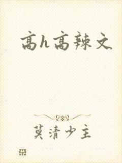 高h高辣文封面