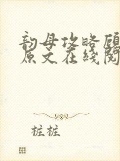 韵母攻略顾小暖原文在线阅读封面