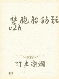 双胞胎的玩具1v2h