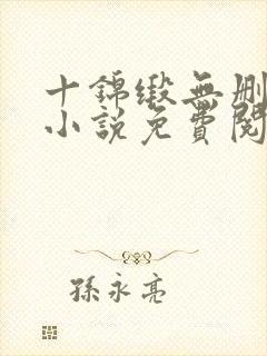 十锦缎无删原著小说免费阅读封面