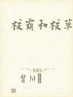 校霸和校草封面
