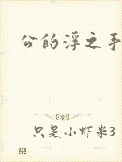 公的浮之手中字