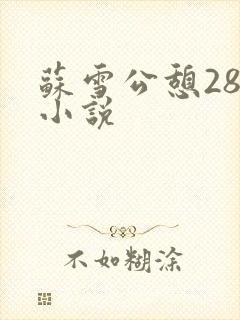 苏雪公憩28篇小说