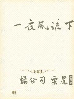 一夜风流下载