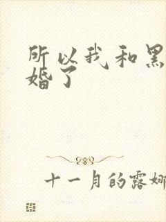 所以我和黑粉结婚了