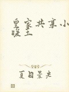 皇家共享小公主暖玉