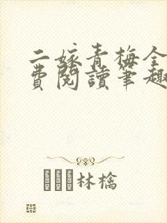 二嫁青梅全文免费阅读笔趣阁