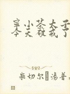 宁小茶太子殿下今天破戒了吗免费阅读封面