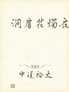 洞房花烛夜小说