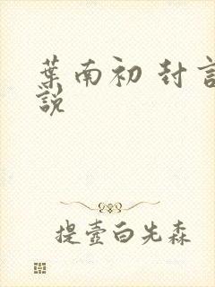 叶南初 封言小说
