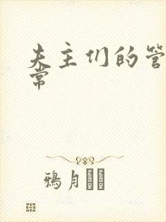 夫主们的管教日常