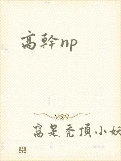 高干np