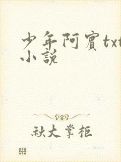 少年阿宾txt小说