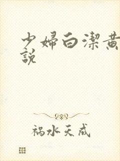 少妇白洁黄色小说封面