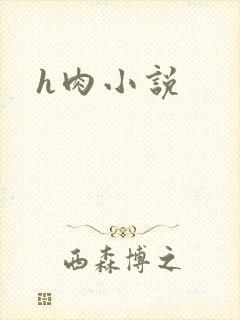 h肉小说