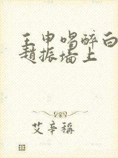 王申喝醉白洁被赵振墙上