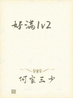 好满1v2