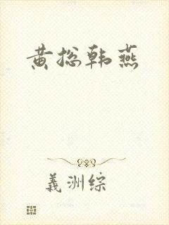 黄总韩燕封面