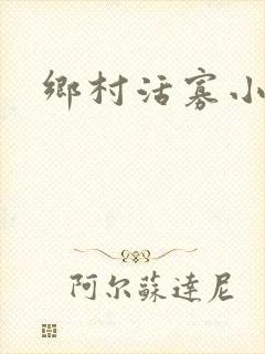 乡村活寡小说封面