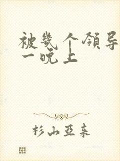 被几个领导玩弄一晚上