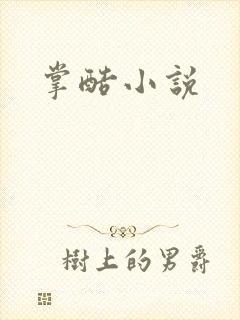 掌酷小说