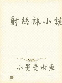射丝袜小说