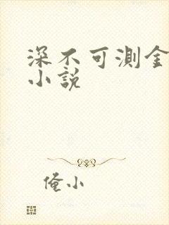 深不可测金银花小说封面
