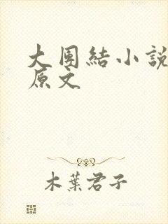 大团结小说阅读原文封面