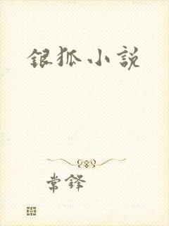 银狐小说