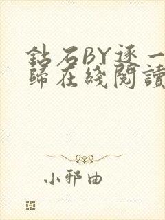 钻石BY逐一而归在线阅读