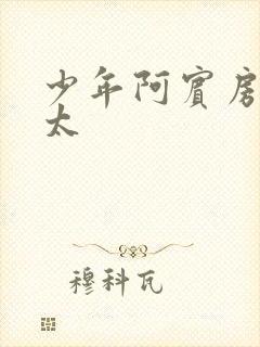 少年阿宾房东太太封面