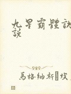 九星霸体诀 小说