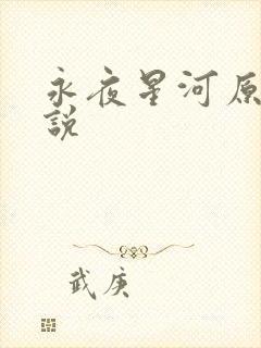 永夜星河原著小说封面