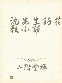 沈先生的花式管教小说