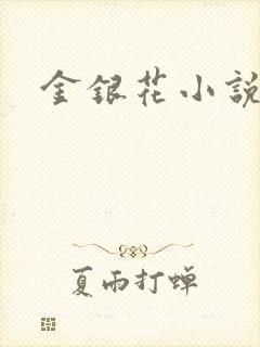 金银花小说乐可