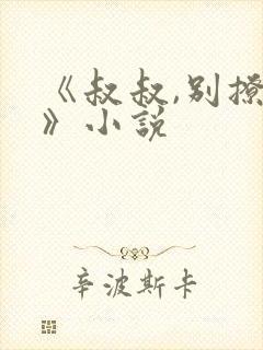 《叔叔,别撩我》小说