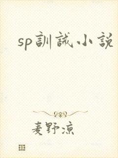 sp训诫小说