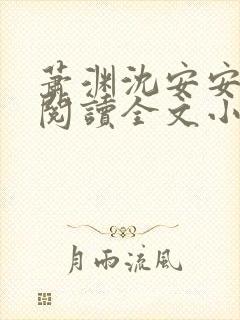 萧渊沈安安免费阅读全文小说封面