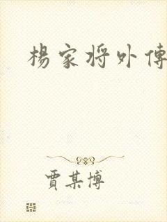 杨家将外传封面